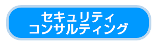 セキュリティコンサルティング